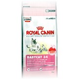 Royal Canin Babycat 34 \ Роял Канин 34 сух.д/котят от 1 до 4 мес. и беременных кошек