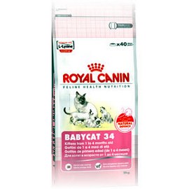 Royal Canin Kitten 36 \ Роял Канин 36 сух.д/котят от 4 до 12 мес. и беременных кошек